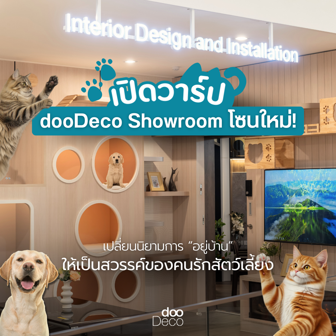 ✨ เปิดวาร์ปโซนใหม่! dooDeco Showroom เปลี่ยนนิยามการ "อยู่บ้าน" ให้เป็นสวรรค์ของคนและสัตว์เลี้ยง