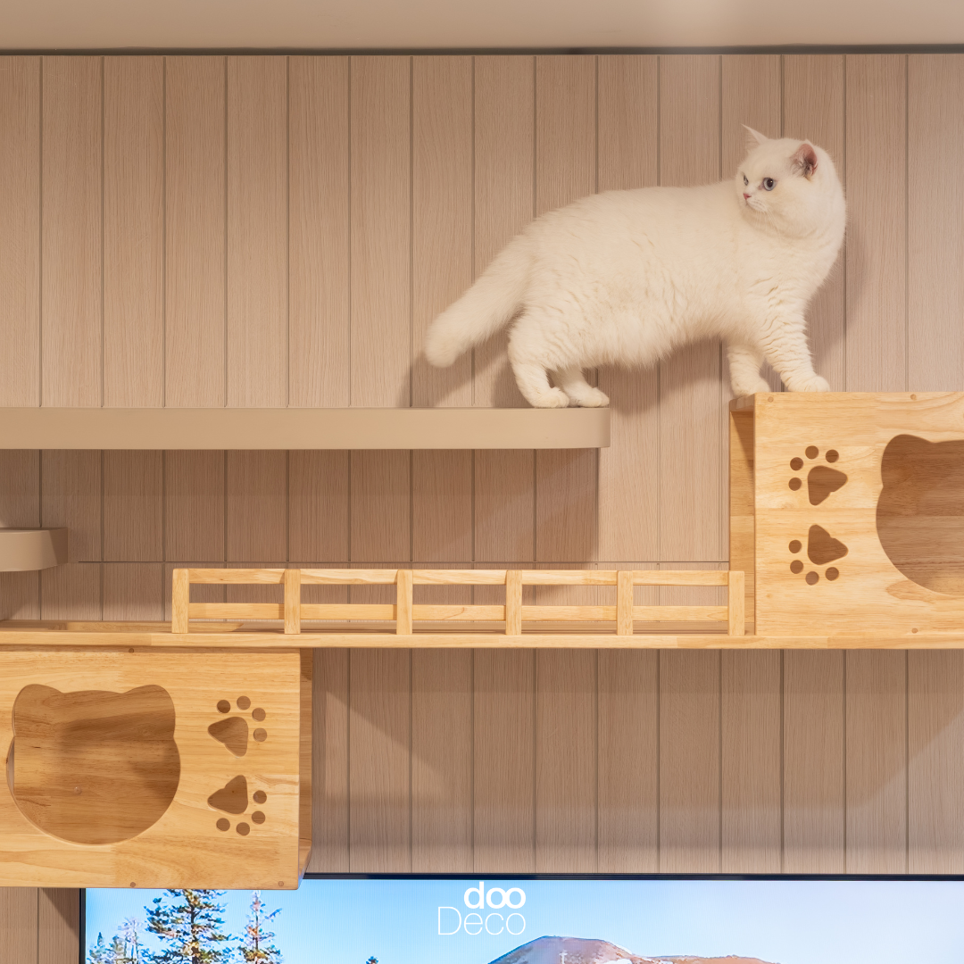 บริการรับออกแบบตกแต่งภายในครบวงจร